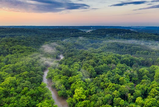 Exploring the Amazon Rainforest as a Solo Traveler