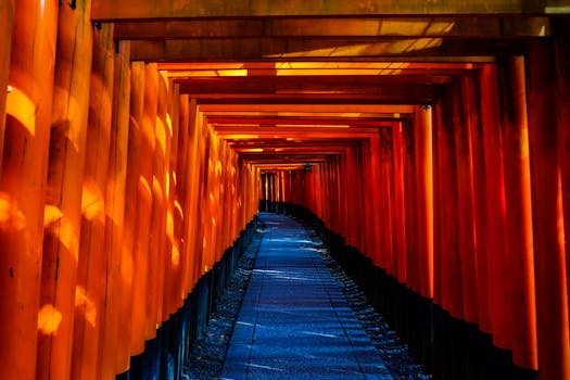 Exploring the Cultural Tapestry of Kyoto: A Solo Traveler’s Guide